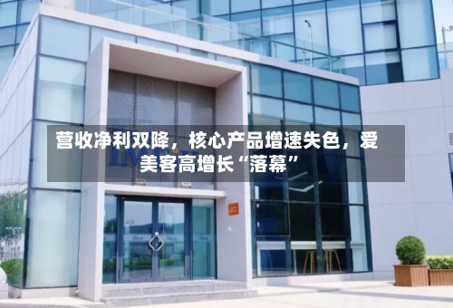 营收净利双降	，核心产品增速失色，爱美客高增长“落幕	”-第2张图片
