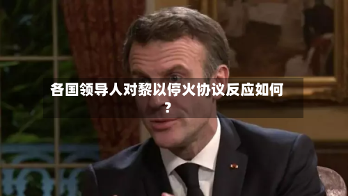各国领导人对黎以停火协议反应如何?-第2张图片
