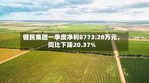 健民集团一季度净利8773.28万元，同比下降20.37%-第3张图片