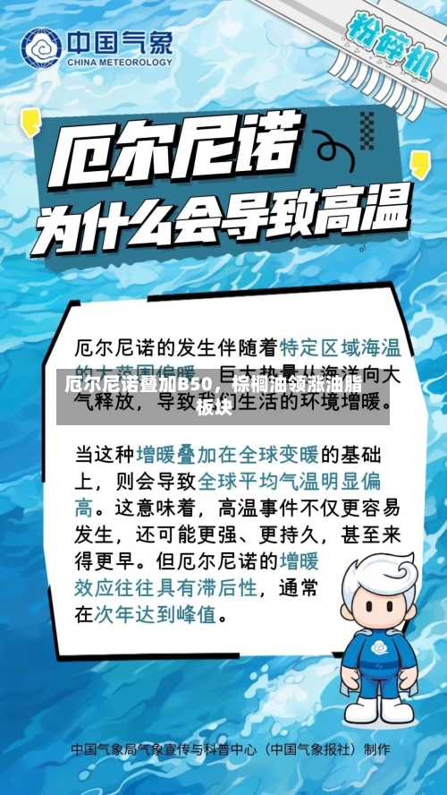 厄尔尼诺叠加B50，棕榈油领涨油脂板块-第2张图片