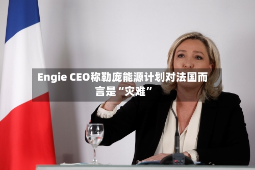 Engie CEO称勒庞能源计划对法国而言是“灾难	”-第2张图片