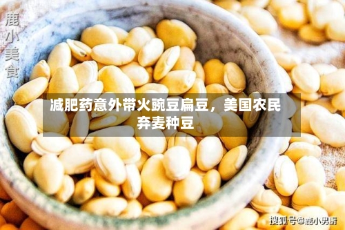 减肥药意外带火豌豆扁豆，美国农民弃麦种豆-第2张图片