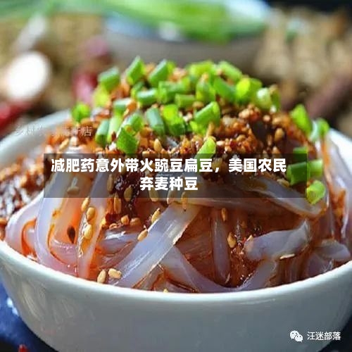 减肥药意外带火豌豆扁豆，美国农民弃麦种豆-第3张图片