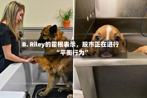 B. Riley的霍根表示	，股市正在进行“平衡行为	”-第2张图片
