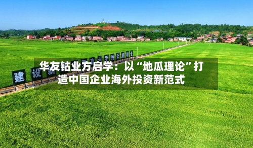 华友钴业方启学：以“地瓜理论”打造中国企业海外投资新范式-第2张图片