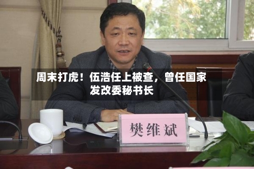 周末打虎！伍浩任上被查	，曾任国家发改委秘书长-第3张图片