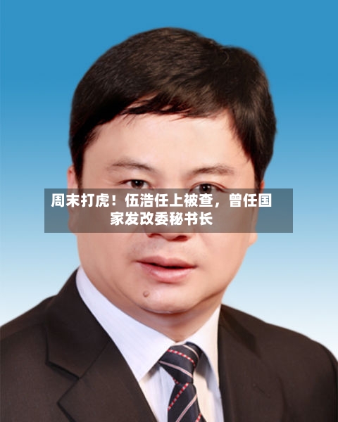 周末打虎！伍浩任上被查，曾任国家发改委秘书长-第2张图片