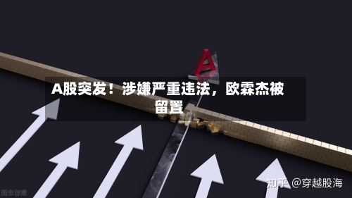 A股突发！涉嫌严重违法，欧霖杰被留置-第2张图片