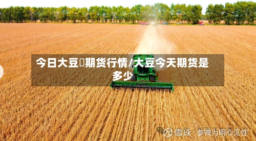 今日大豆沖期货行情/大豆今天期货是多少