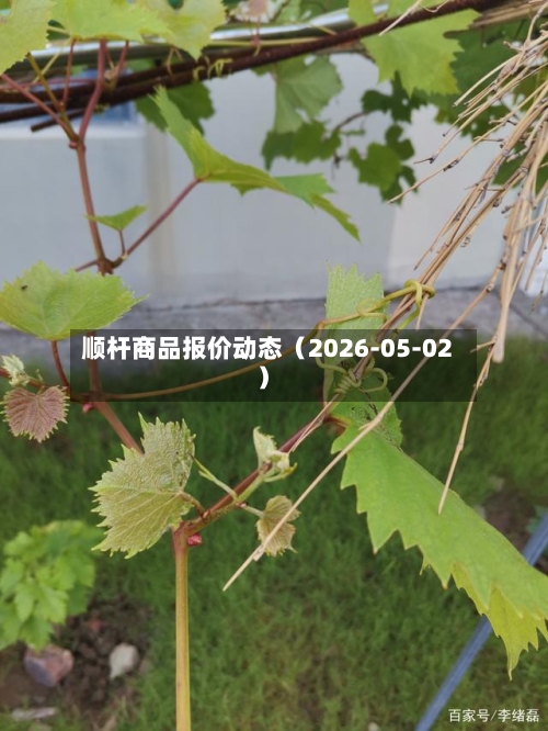 顺杆商品报价动态(2026-05-02)-第3张图片