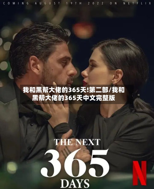 我和黑帮大佬的365天!第二部/我和黑帮大佬的365天中文完整版