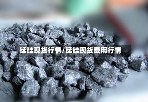 锰硅现货行情/锰硅现货费用行情-第2张图片