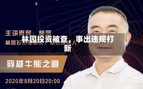 林园投资被查，事出违规打新-第2张图片