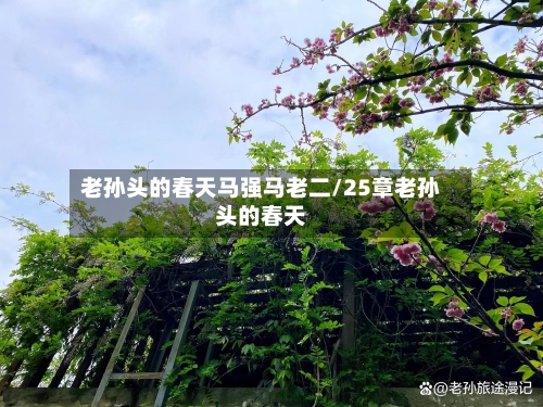 老孙头的春天马强马老二/25章老孙头的春天-第3张图片