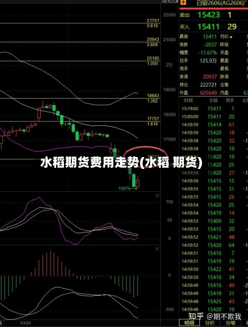 水稻期货费用走势(水稻 期货)-第2张图片