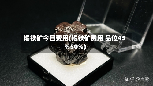 褐铁矿今日费用(褐铁矿费用 品位45%50%)