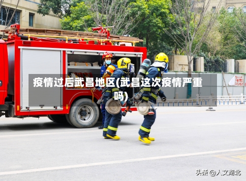 疫情过后武昌地区(武昌这次疫情严重吗)-第3张图片