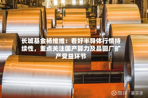 长城基金杨维维：看好半导体行情持续性，重点关注国产算力及晶圆厂扩产受益环节-第2张图片