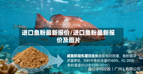 进口鱼粉最新报价/进口鱼粉最新报价及图片-第3张图片