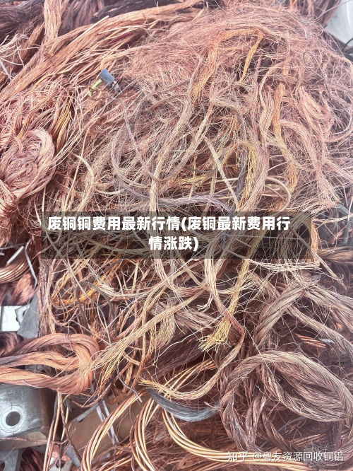 废铜铜费用最新行情(废铜最新费用行情涨跌)-第3张图片