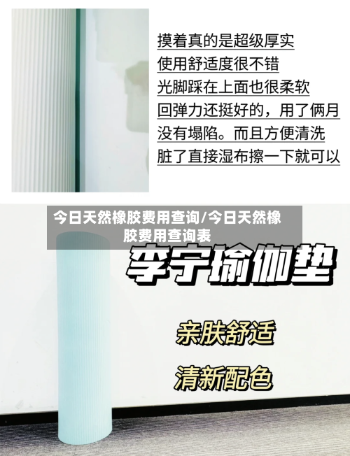 今日天然橡胶费用查询/今日天然橡胶费用查询表