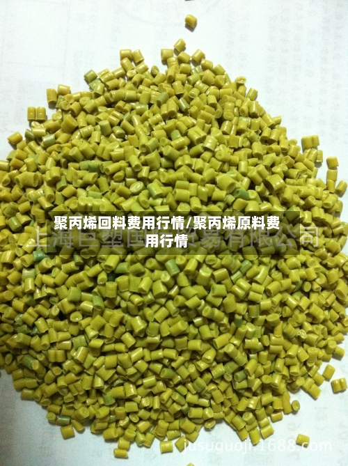 聚丙烯回料费用行情/聚丙烯原料费用行情