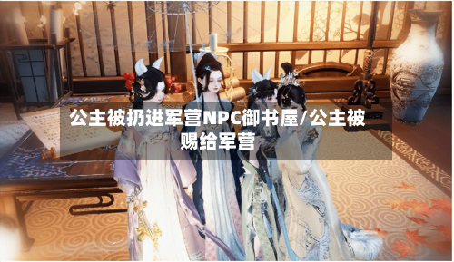 公主被扔进军营NPC御书屋/公主被赐给军营-第3张图片