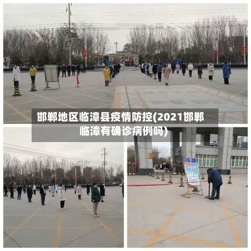 邯郸地区临漳县疫情防控(2021邯郸临漳有确诊病例吗)-第3张图片