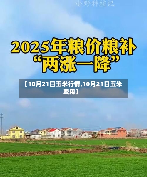 【10月21日玉米行情,10月21日玉米费用】