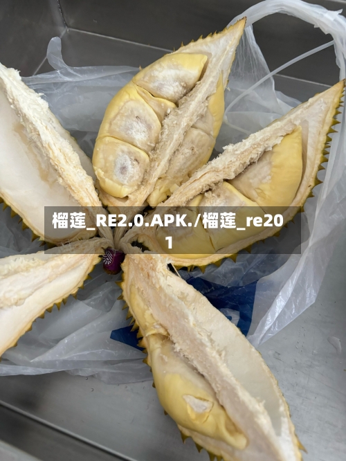 榴莲_RE2.0.APK./榴莲_re201-第2张图片