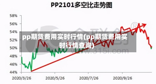pp期货费用实时行情(pp期货费用实时行情查询)