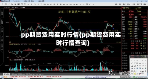 pp期货费用实时行情(pp期货费用实时行情查询)-第2张图片