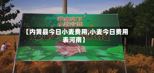 【内黄县今日小麦费用,小麦今日费用表河南】-第2张图片
