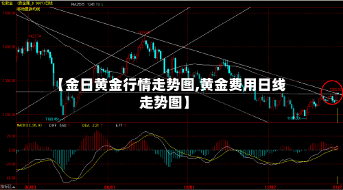 【金日黄金行情走势图,黄金费用日线走势图】-第2张图片