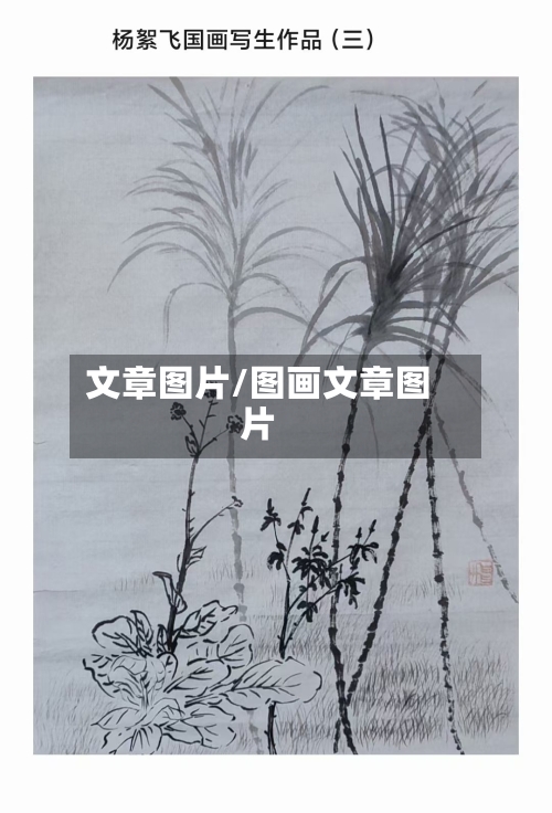 文章图片/图画文章图片
