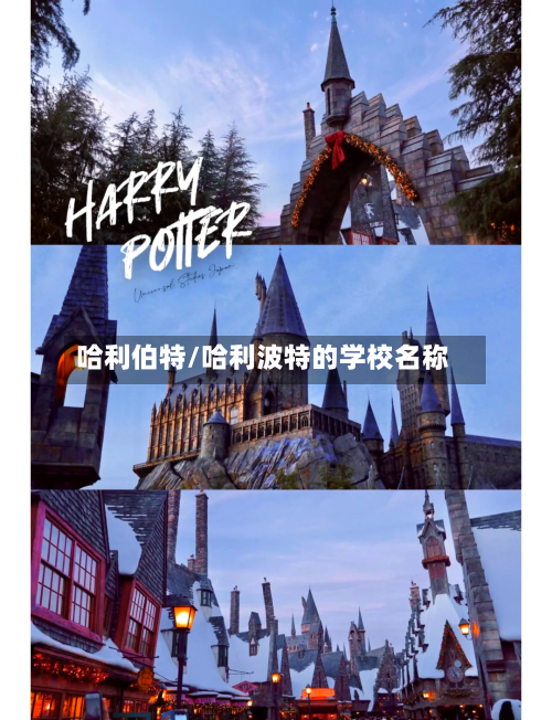 哈利伯特/哈利波特的学校名称