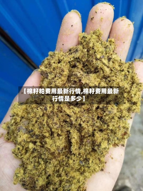 【棉籽粕费用最新行情,棉籽费用最新行情是多少】-第3张图片
