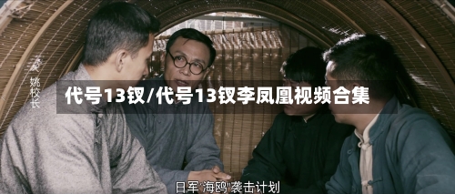 代号13钗/代号13钗李凤凰视频合集