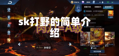sk打野的简单介绍-第2张图片