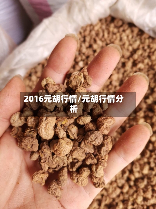 2016元胡行情/元胡行情分析-第2张图片
