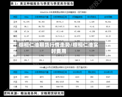 棕榈仁油期货行情走势/棕榈仁油实时费用-第2张图片
