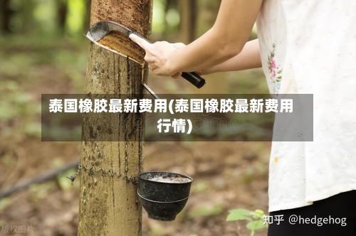 泰国橡胶最新费用(泰国橡胶最新费用行情)-第3张图片