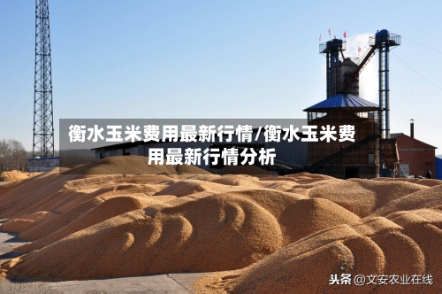 衡水玉米费用最新行情/衡水玉米费用最新行情分析
