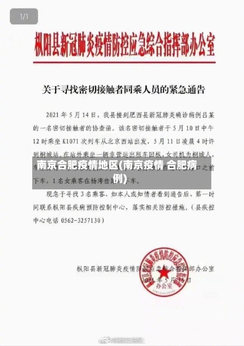南京合肥疫情地区(南京疫情 合肥病例)-第2张图片
