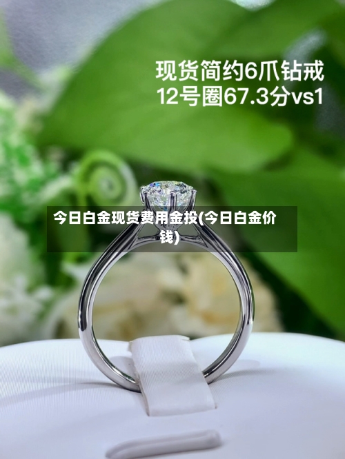 今日白金现货费用金投(今日白金价钱)-第2张图片