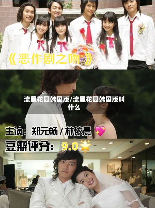 流星花园韩国版/流星花园韩国版叫什么-第2张图片