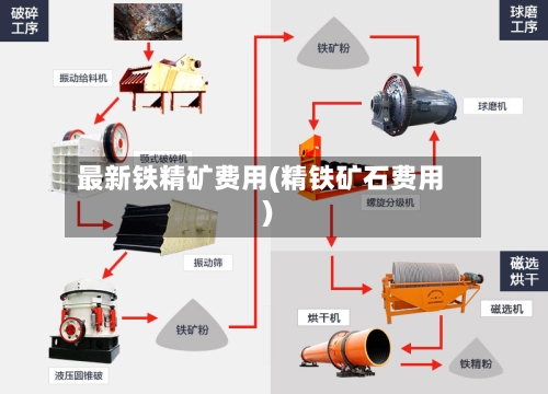 最新铁精矿费用(精铁矿石费用)-第3张图片