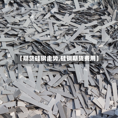 【期货硅钢走势,硅钢期货费用】