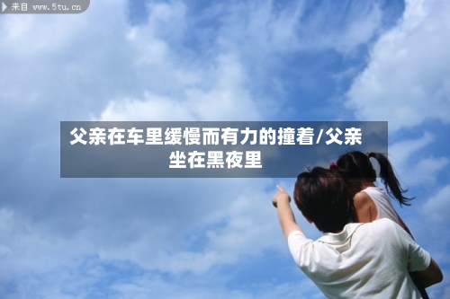 父亲在车里缓慢而有力的撞着/父亲坐在黑夜里