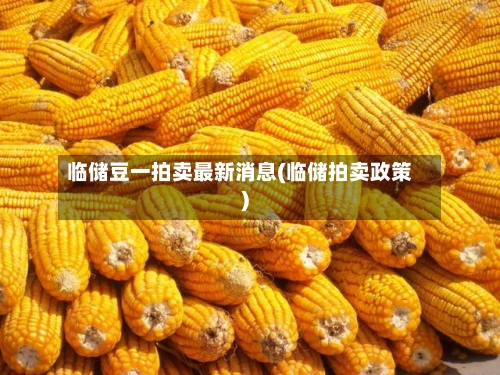 临储豆一拍卖最新消息(临储拍卖政策)